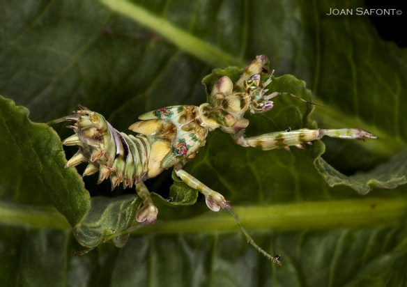 Mirades inaccesibles