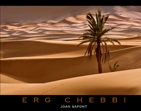 755cc4ba-babb-3019-d32b-39c548372a16