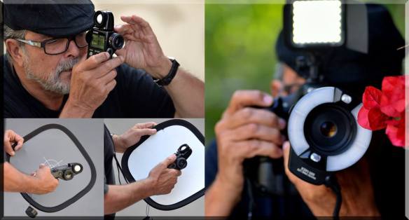 10258093_10204269226190650_7161696915360340116_o