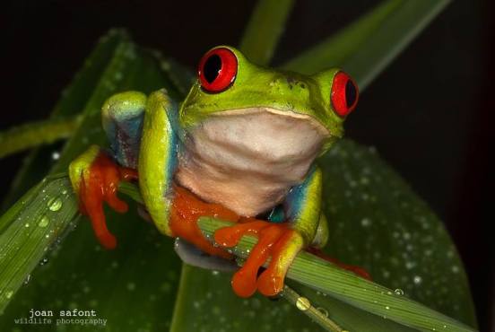 10382990_10204609895187162_2055896596705717218_n