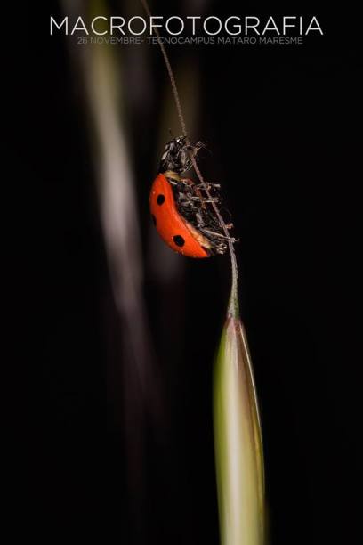 10420378_10205872534672360_6914080356813788284_n