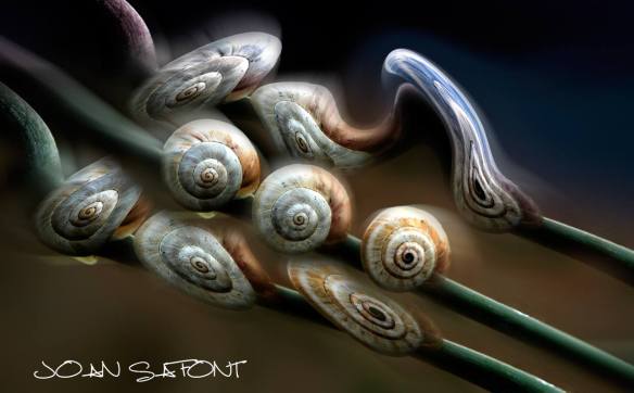 10557519_10205194219754911_802847675208700020_o