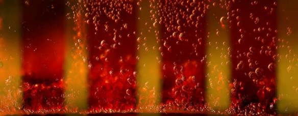 11942172_10208214097689972_1978546949323673918_o