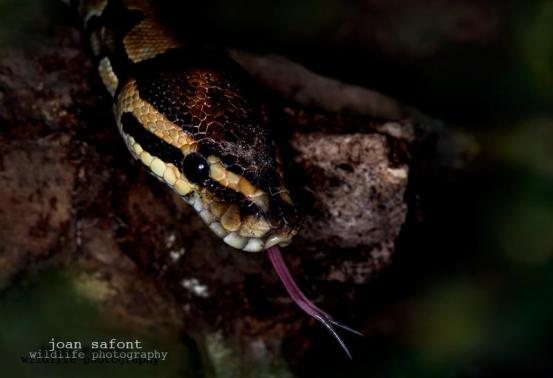 319891_4121163667252_168634534_n