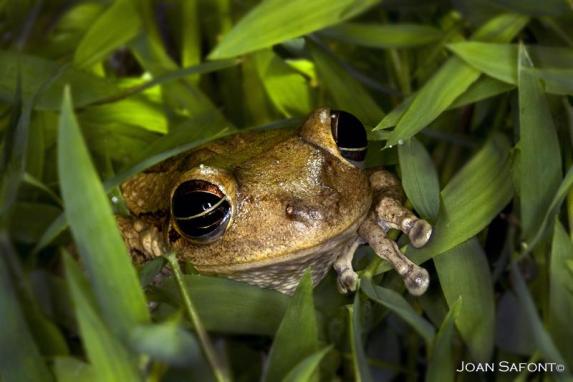 399850_10201355022377376_529124990_n