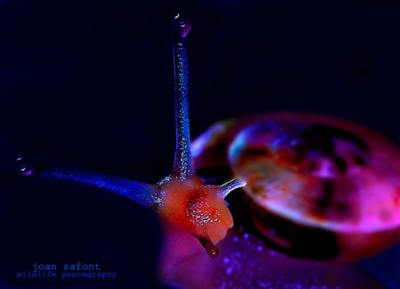 61157_4872642893763_1721043177_n