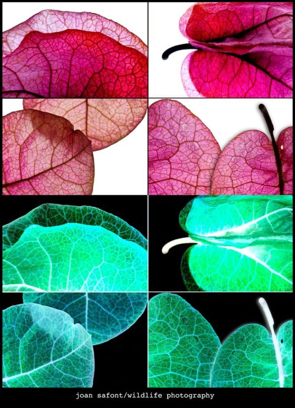 905486_10201314725809987_1748269897_o