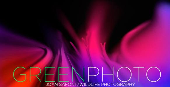 906868_10204197936128443_4298591555436376566_o