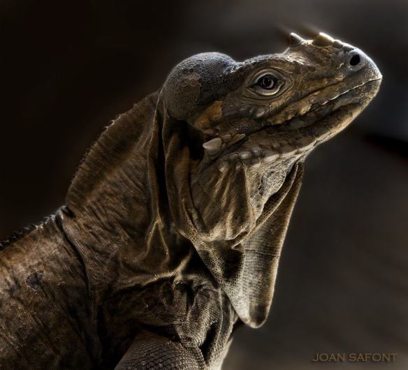 923554_10201364971386095_1485198356_n