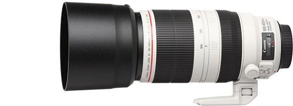 canon-ef-100-400mm-f-4-5-5-6-l-is-ii-usm-lens