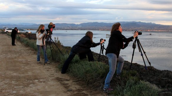 1025620_10201825206651689_1851421373_o