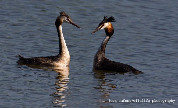 1120025_10202315279023192_20473503_o