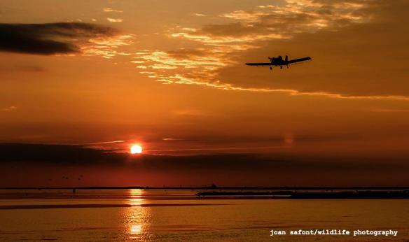 1401448_10202695992940802_1982453299_o