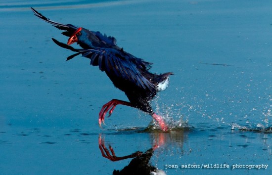 1602130_10203624094022749_1451734579_o