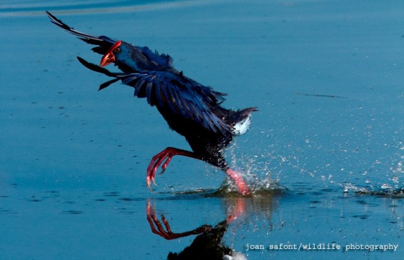 1602130_10203624094022749_1451734579_o