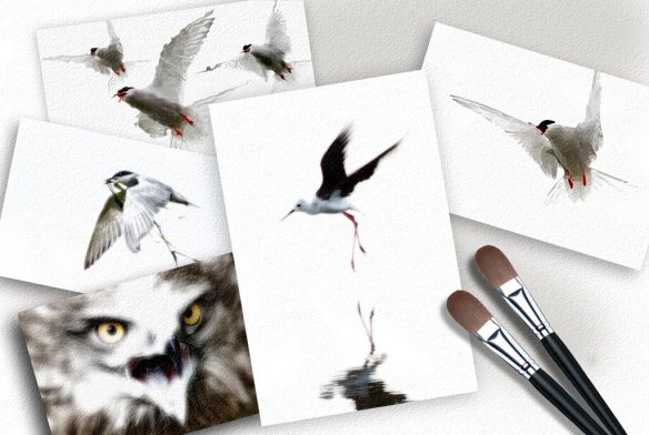 175200_4857765641841_880593654_o-1