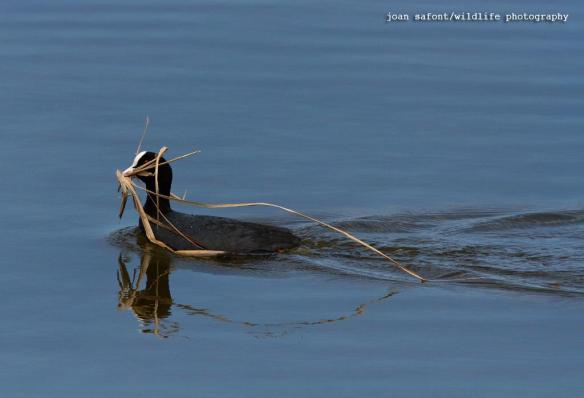 201463_10201498840532740_176619008_o