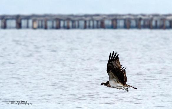 209210_4741272209578_1428841618_o