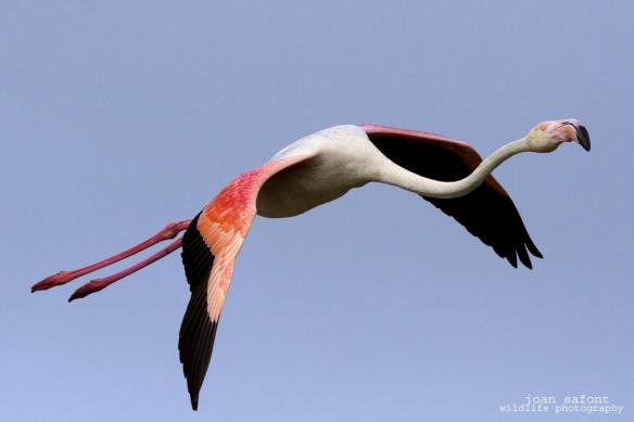 286307_4846504520320_1222795683_o