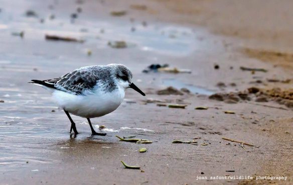 467803_10201584118064625_1878235085_o