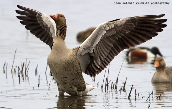 792358_10200533618762799_66402657_o