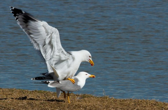 883233_10200958387741758_574281805_o