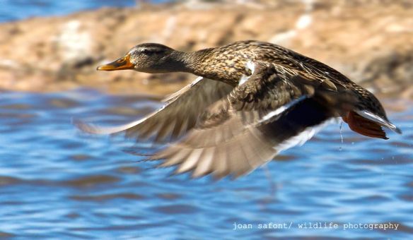 885059_10200943878299031_4482105_o