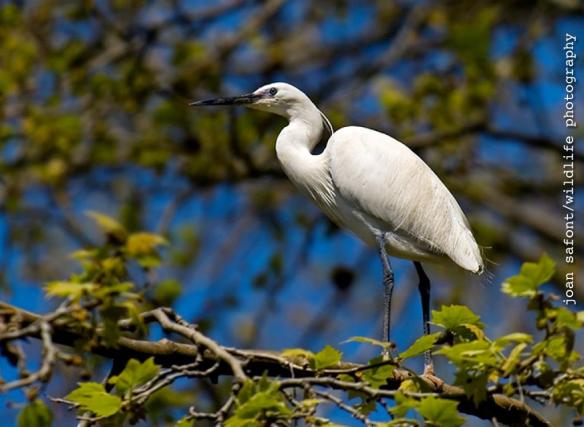 920813_10201364886303968_1546980296_o