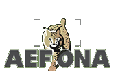 logoaefona2
