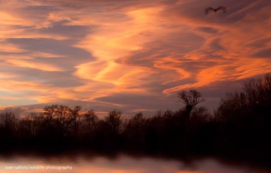 10005826_10203850903612847_891522628_o