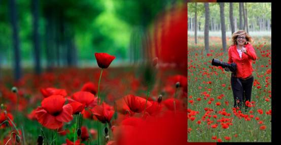 10257497_10204379432985751_7772882025063209208_o