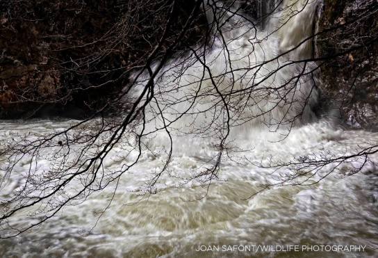 10257726_10204409174969282_5659633218479992241_o