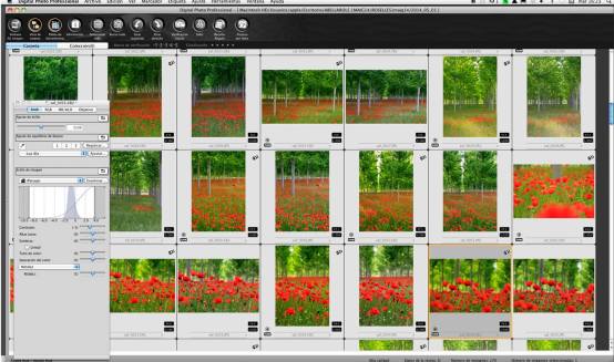 10275499_10204379447066103_3894745074601945148_o