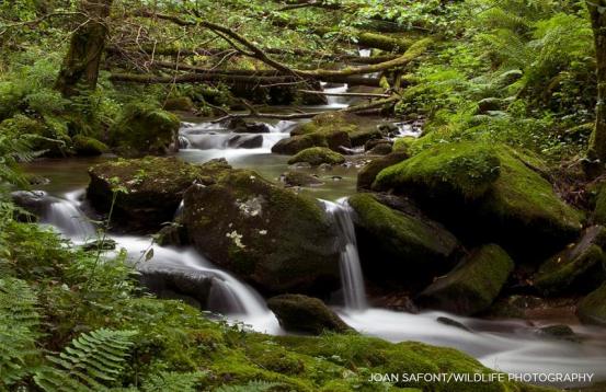 10291695_10204379453506264_852850667039388493_n