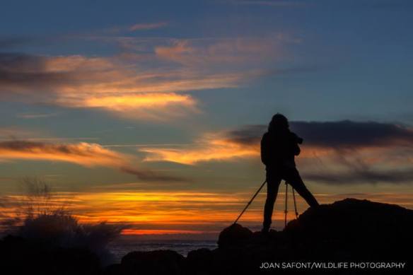 10325724_10204379450706194_2457261916539312310_n