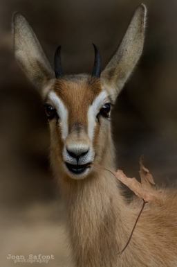 10366090_10204527085556973_3574533929122425164_n