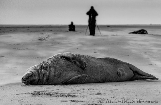 1052656_10202464813201453_1407155872_o