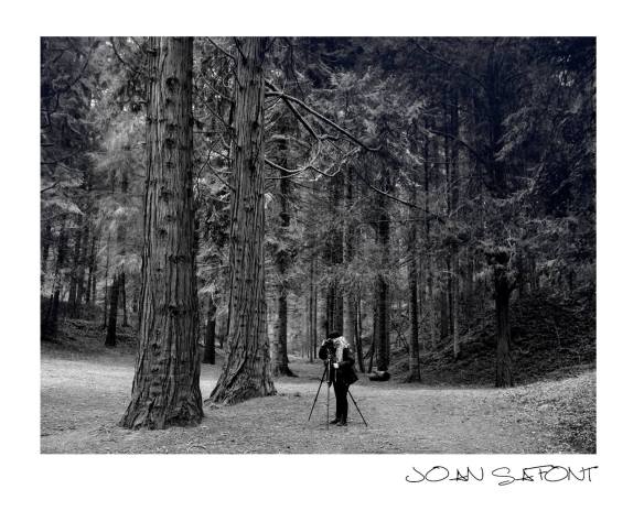 11157572_10207158194213045_6315156606588813554_o