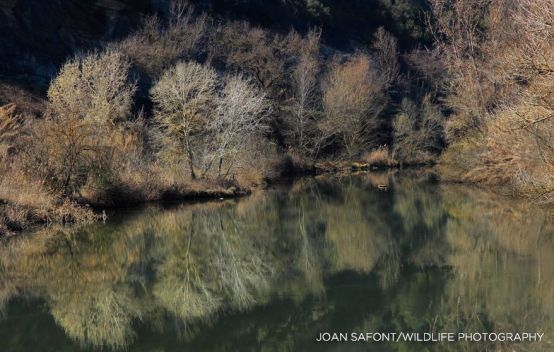 1238104_10203872222785813_320453895_n