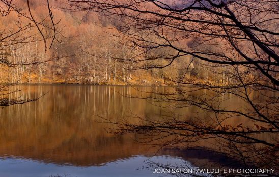 1399137_10203978711727970_1725428921_o