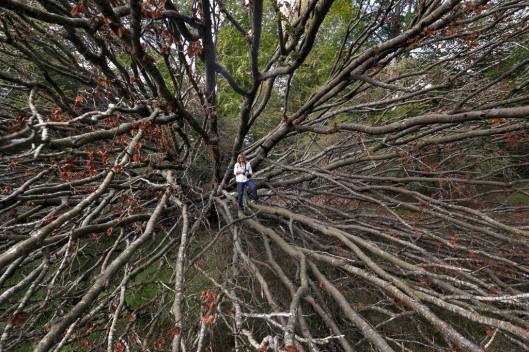 1531826_10205493776443641_4998521652046295525_o