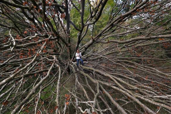 1531826_10205493776443641_4998521652046295525_o