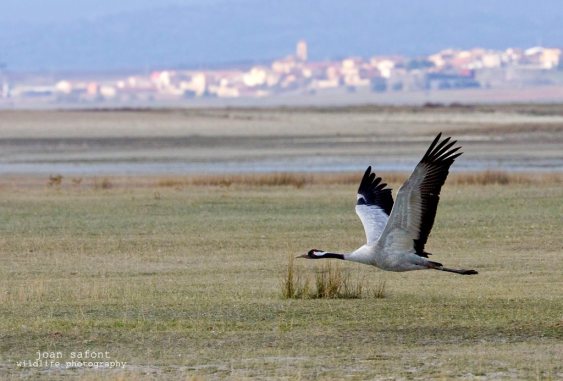 414836_10200167847258740_145548216_o