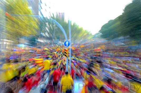 10636379_10203319868092771_6610360706309583899_o-1