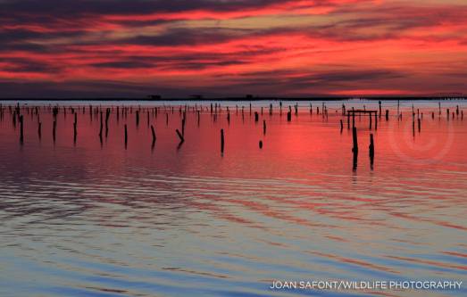 10397195_10204538020030328_945225546771637284_o