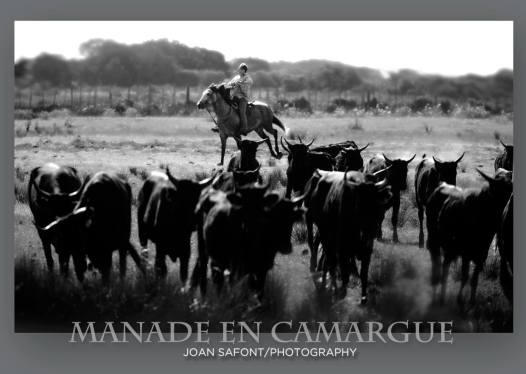 10498549_10204983893136877_6069792568960825916_o