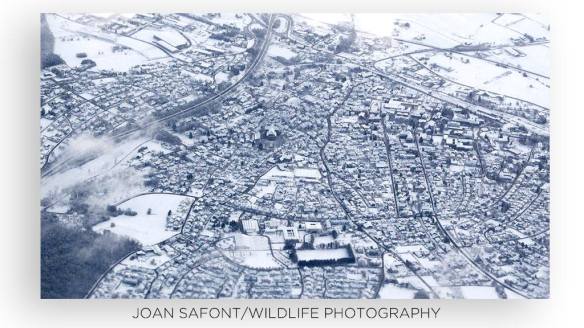 1504359_10203515686272623_356533862_o