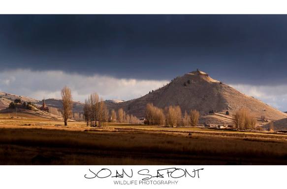 10842217_10207049470495020_6706744403074242880_o