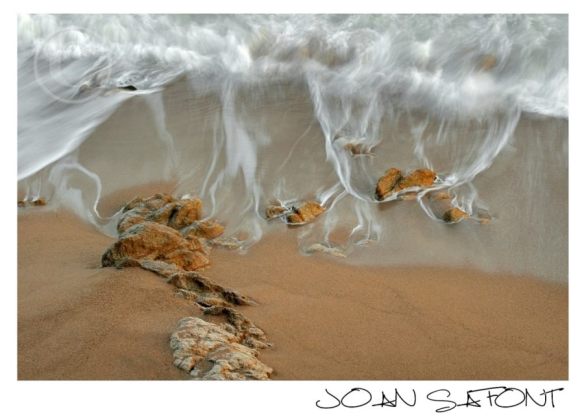 11053423_10207834464959391_4418061347390434409_n