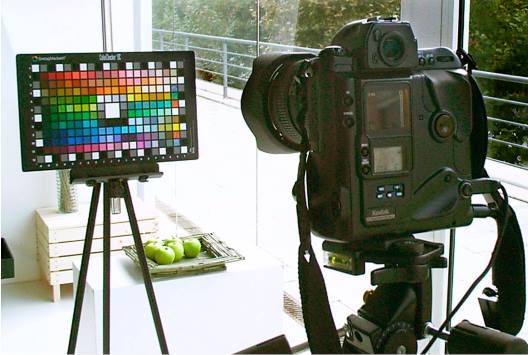 12108156_10208527416962758_1222764549385771059_n